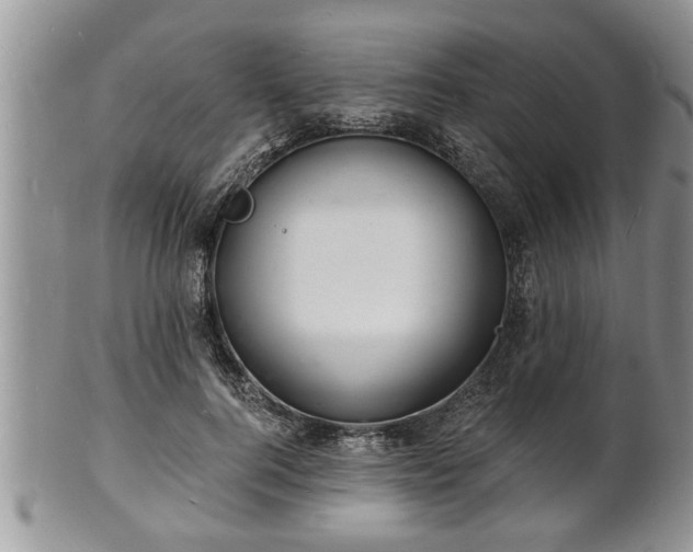 X0000102220744200808011202