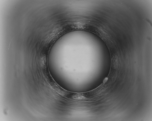 X0000102220747200808011202