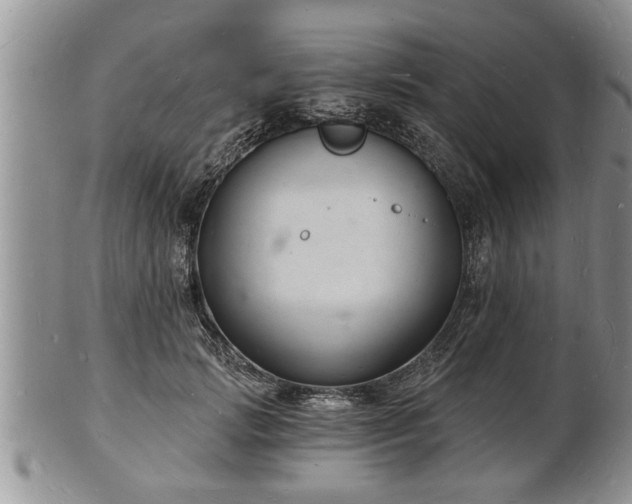 X0000102220749200808011202