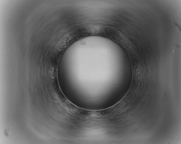 X0000102220750200808011202