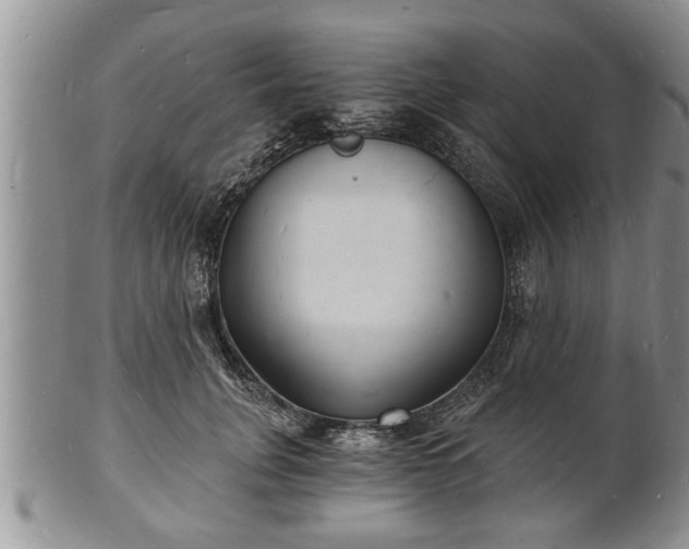 X0000102220751200808011202