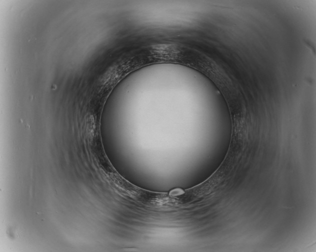 X0000102220752200808011202