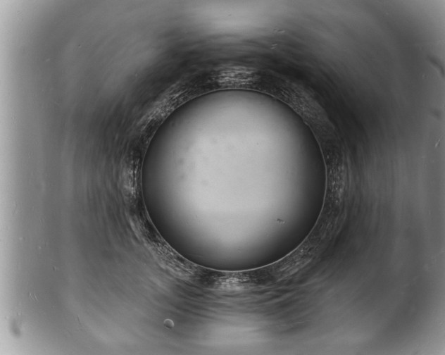 X0000102220755200808011202