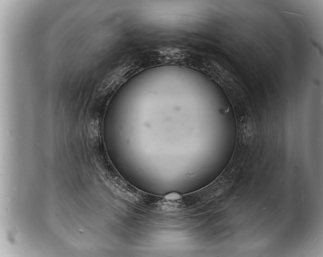 X0000102220756200808011202