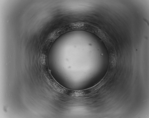 X0000102220758200808011202