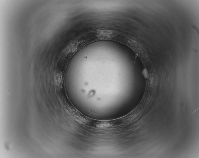 X0000102220759200808011202