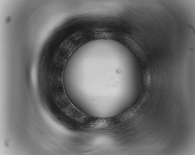 X0000102220764200808011202