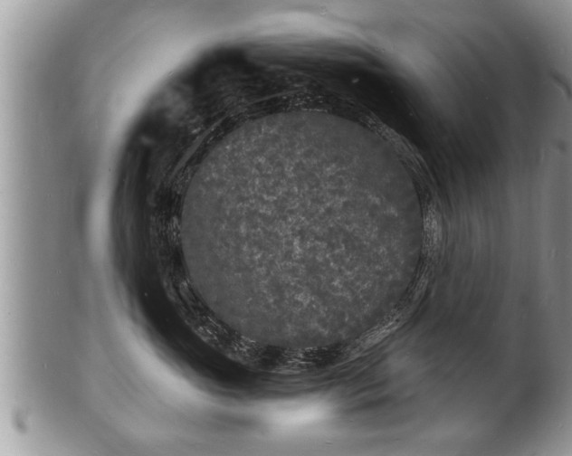 X0000102220765200808011202