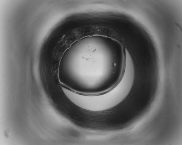 X0000102220766200808011202