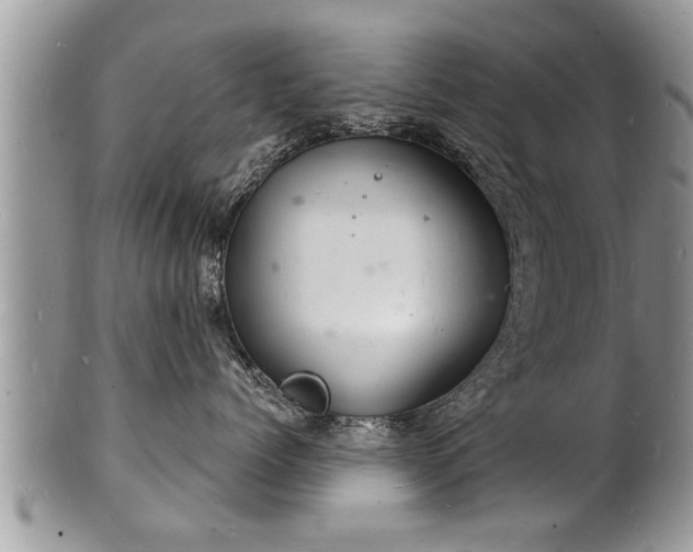 X0000102220768200808011202