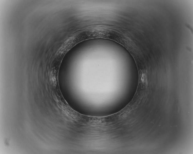 X0000102220771200808011201