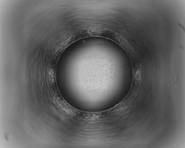 X0000102220772200808011201