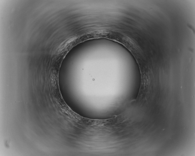 X0000102220773200808011201