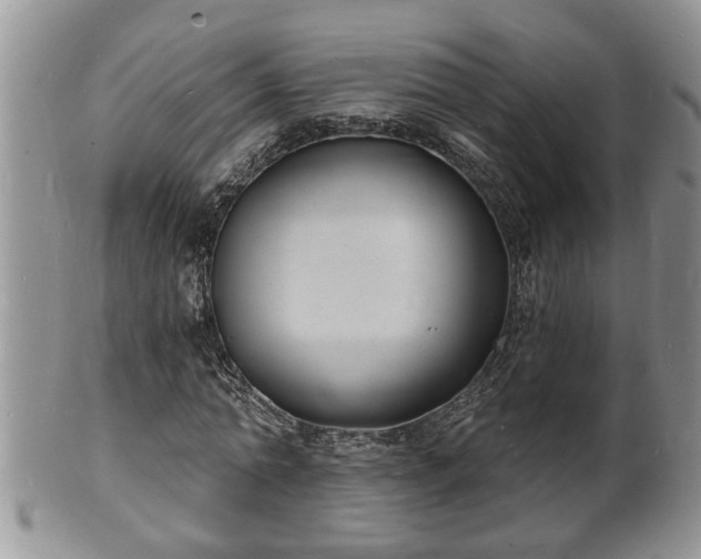 X0000102220774200808011201