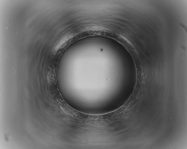 X0000102220775200808011201