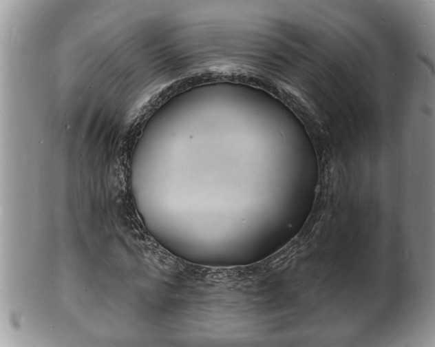 X0000102220776200808011201