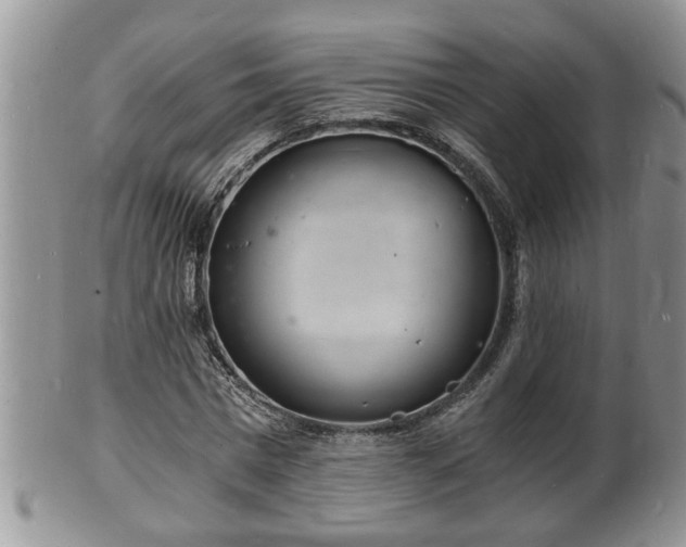 X0000102220777200808011201