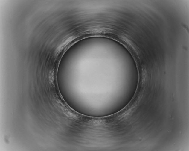 X0000102220778200808011201