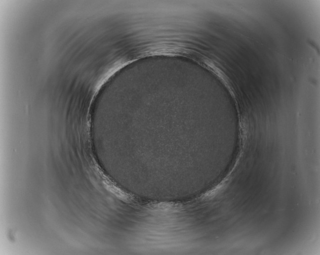 X0000102220779200808011201