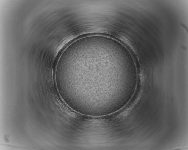 X0000102220781200808011201