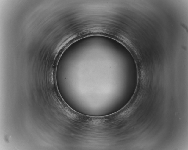 X0000102220782200808011201