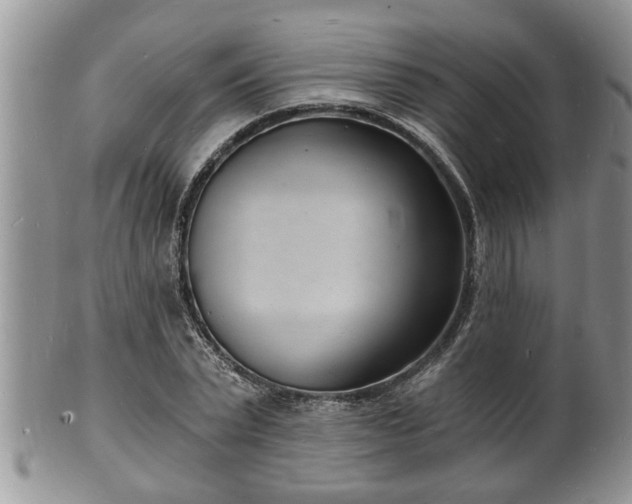 X0000102220783200808011201