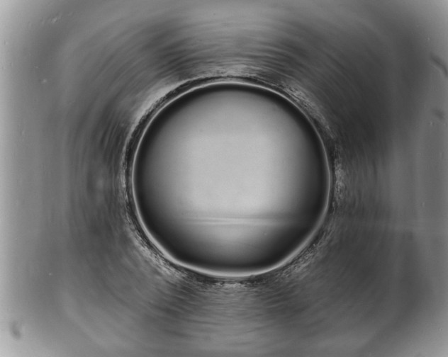 X0000102220784200808011201