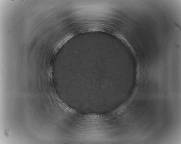 X0000102220785200808011201