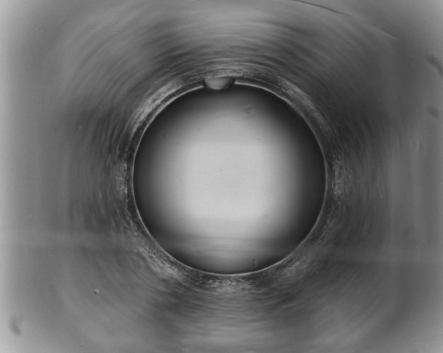 X0000102220786200808011201