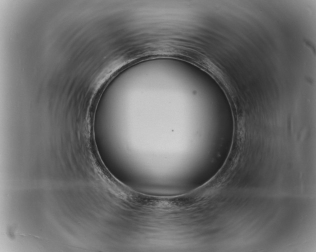 X0000102220787200808011201