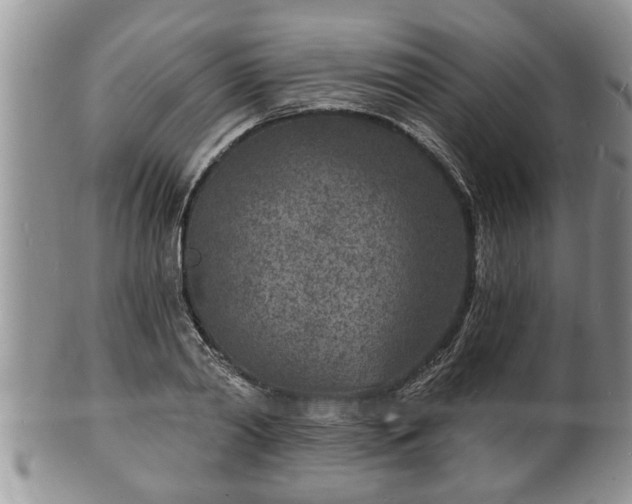 X0000102220790200808011201