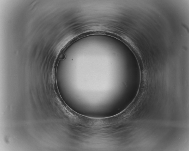 X0000102220791200808011201