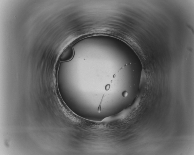 X0000102220792200808011201