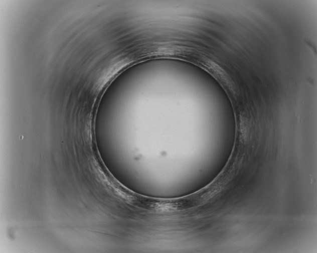 X0000102220794200808011201