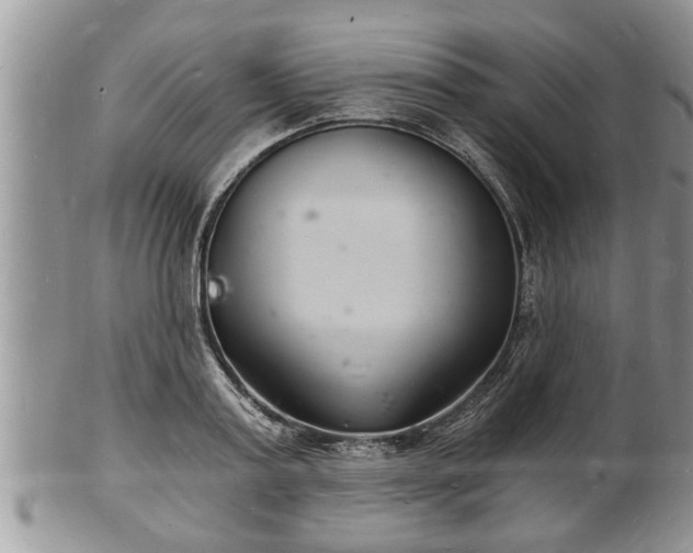 X0000102220795200808011201