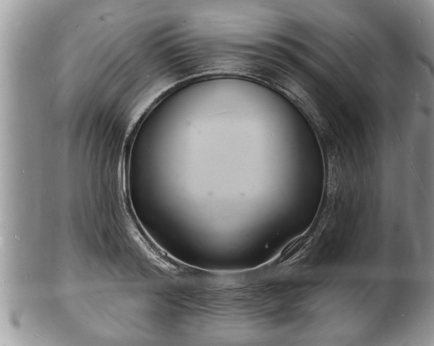 X0000102220796200808011201