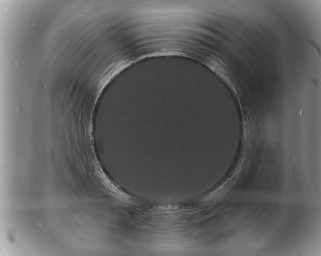 X0000102220797200808011201