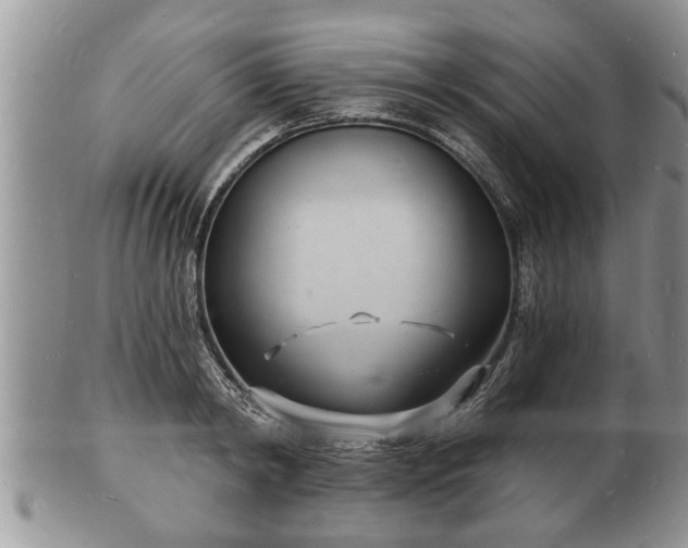 X0000102220798200808011201