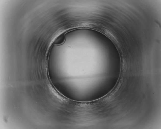 X0000102220800200808011201