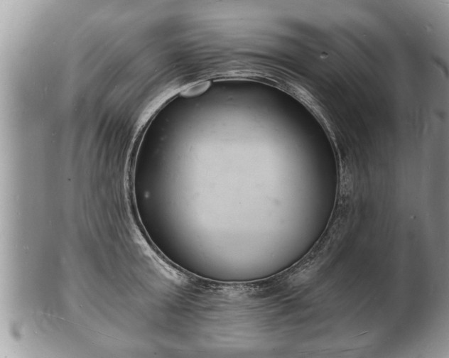 X0000102220803200808011201