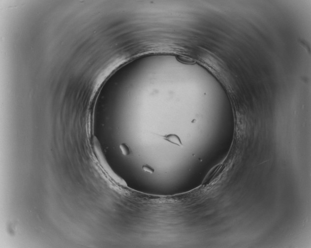 X0000102220804200808011201