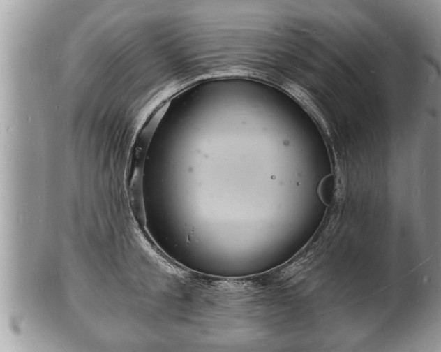 X0000102220805200808011201