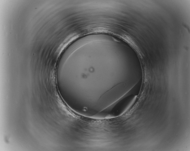 X0000102220806200808011201