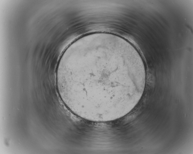 X0000102220807200808011201