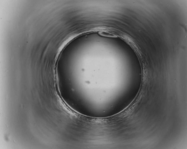 X0000102220808200808011201