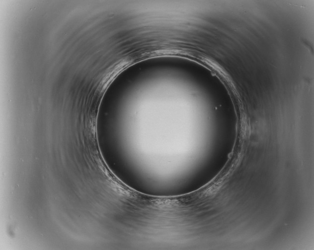 X0000102220809200808011201