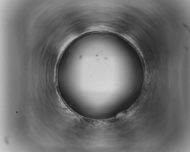 X0000102220815200808011201