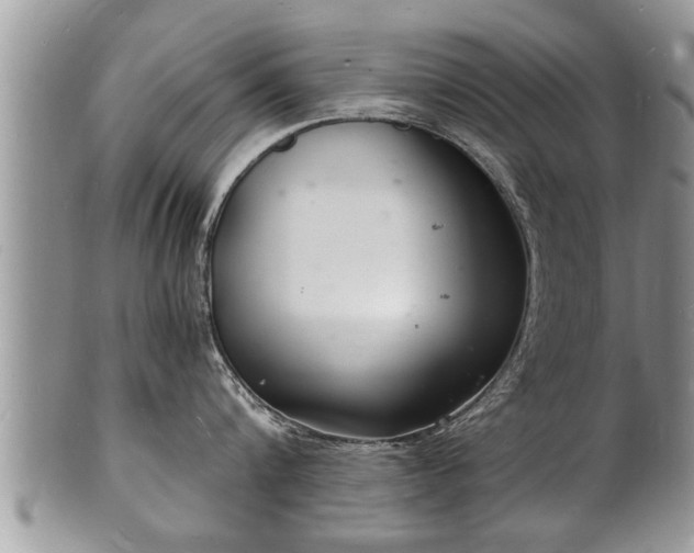 X0000102220816200808011201