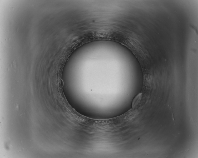 X0000102220817200808011200