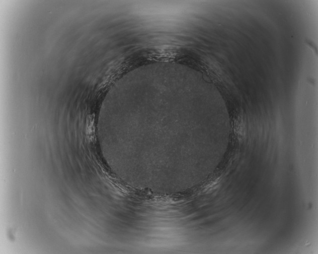 X0000102220818200808011200